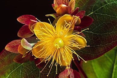 《三角洲行动》公布2025年内容规划 将举行4个赛季